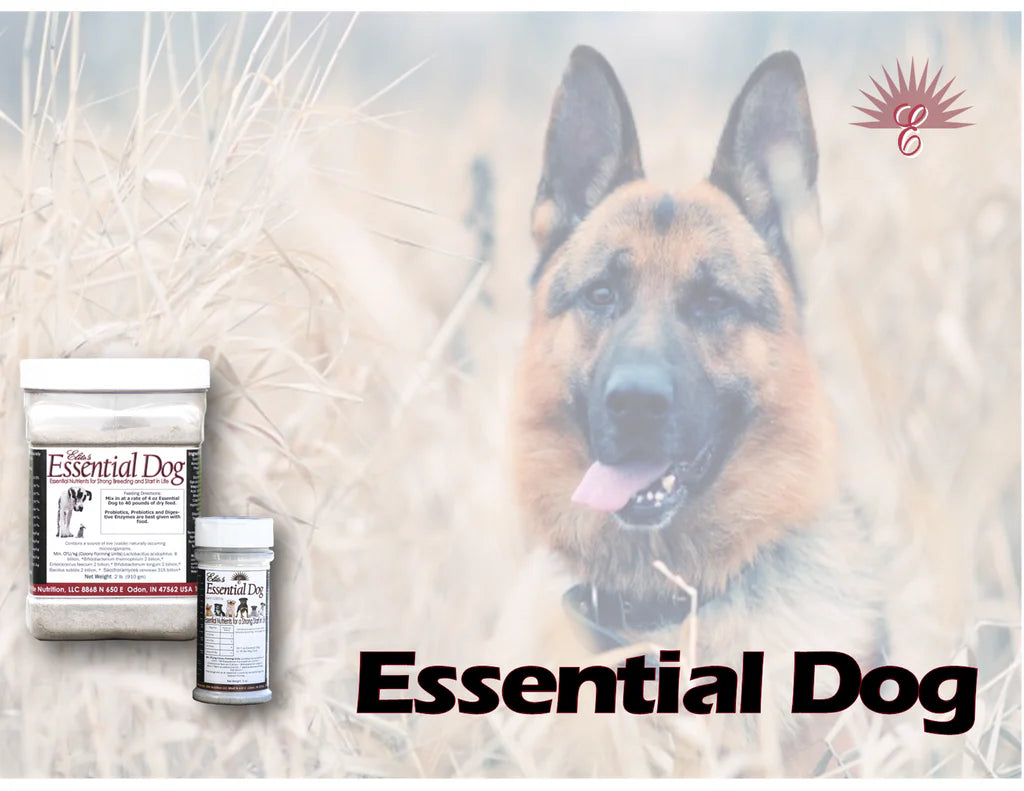Essential Dog (Multivitamin) 2 LB.