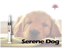 Serene Dog (Anxiety Treatment) Paste