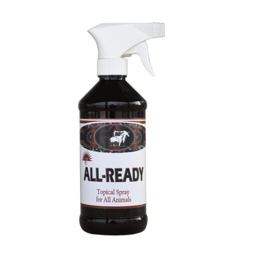All Ready (Wound care Spray) 16oz.