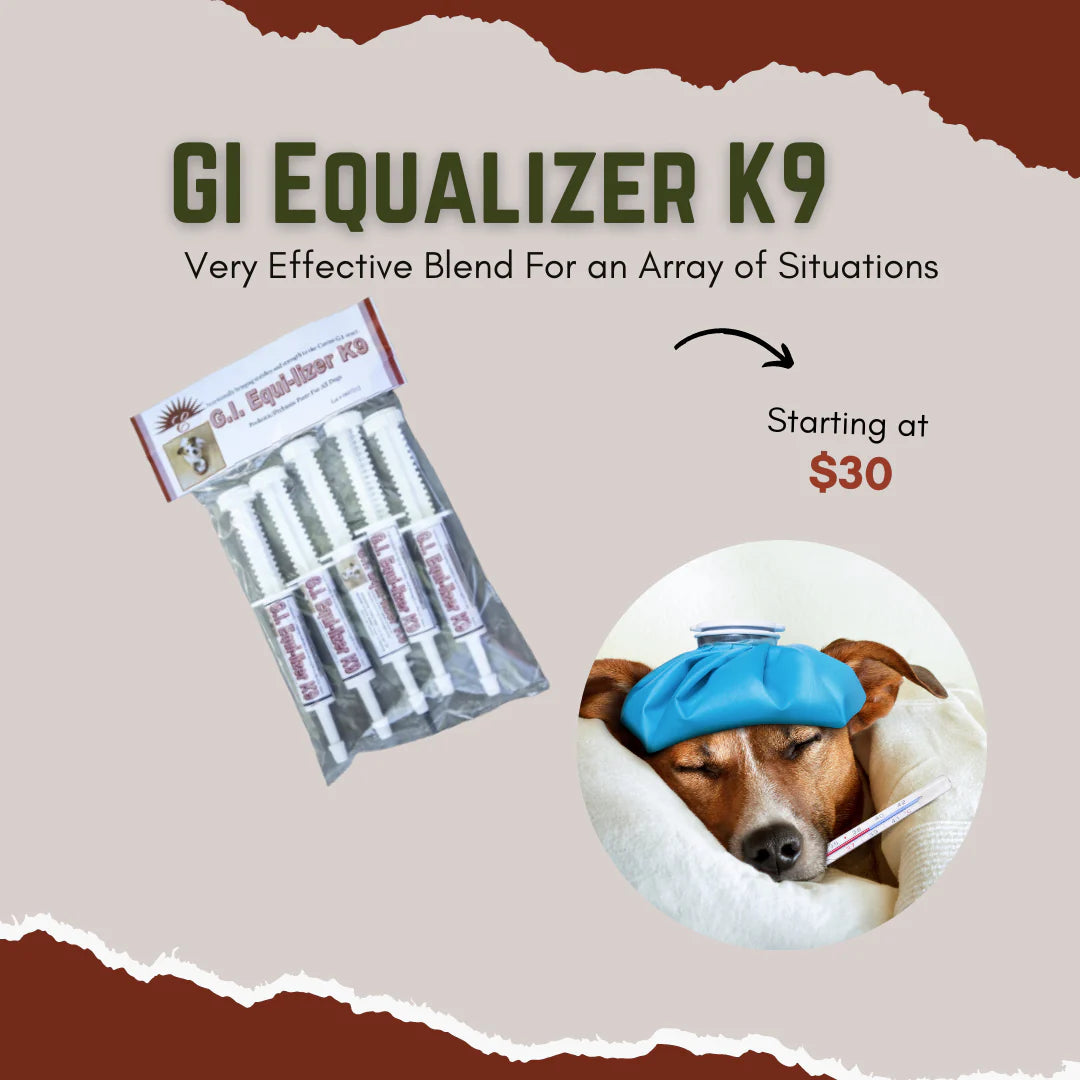 K9 GI Equalizer (Gut Balancer) 18 gm/ 5 Pack