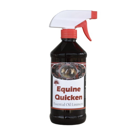 Quicken Spray (Soreness) 14 oz