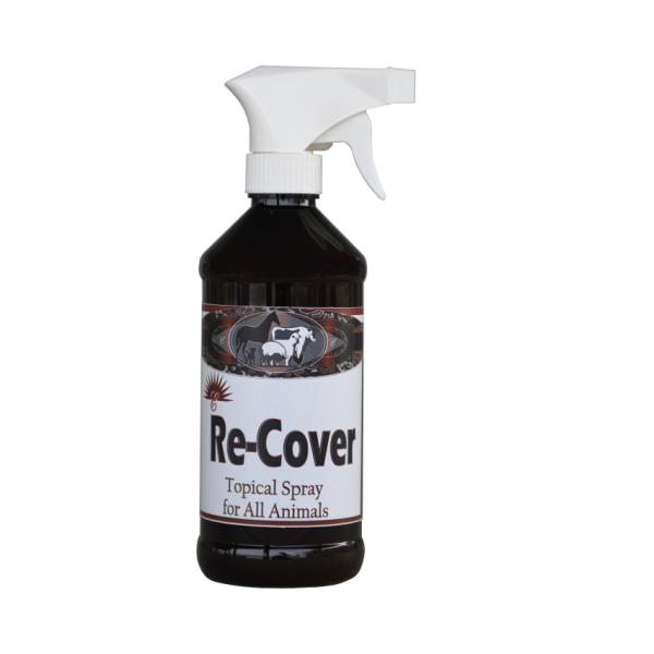 Re-Cover (Topical Antiseptic) spray 16oz.