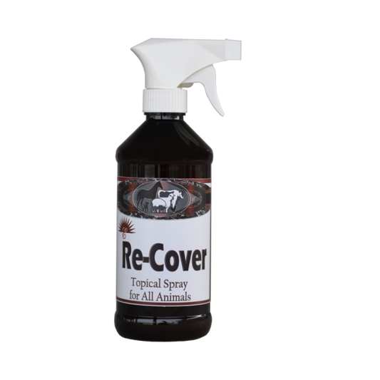 Re-Cover (Topical Antiseptic) spray 16oz.