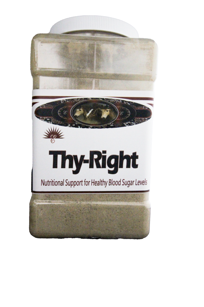 Thy-Right 5lb.